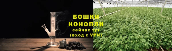 эйфоретик Беломорск