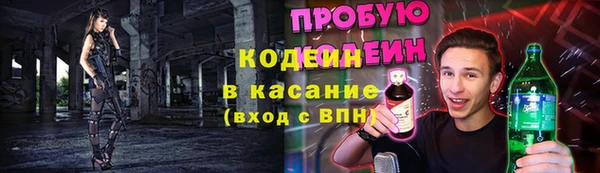 индика Белоозёрский