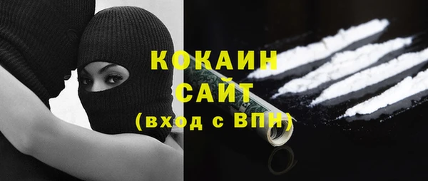 гидра Белокуриха