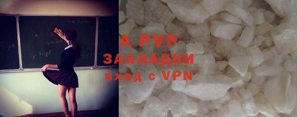 гидра Белокуриха