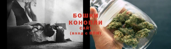 индика Белоозёрский