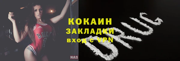 индика Белоозёрский