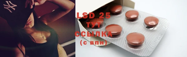 индика Белоозёрский