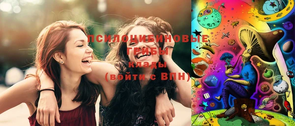 гидра Белокуриха