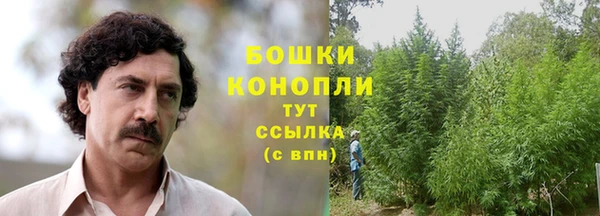 гидра Белокуриха